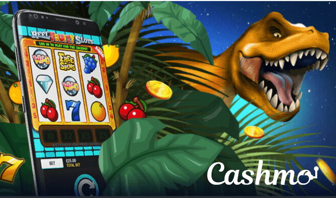 Cashmo usability